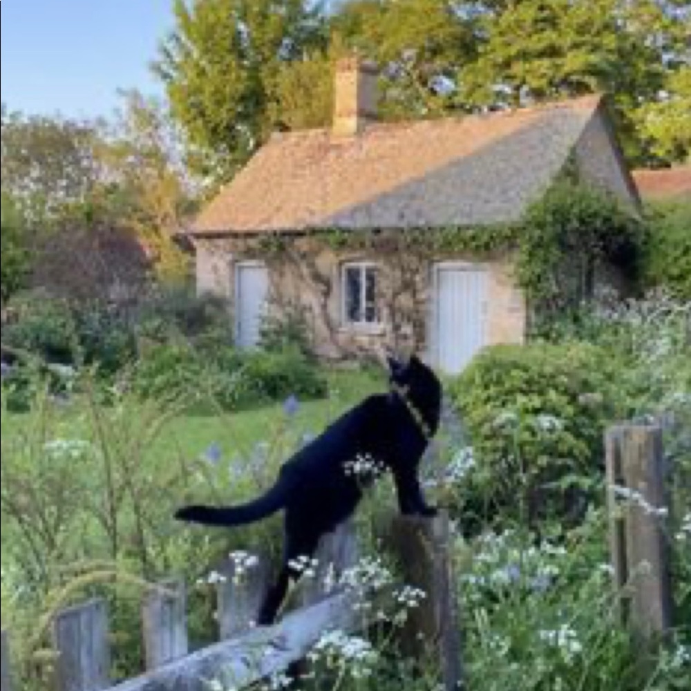 Meet your Posher, Grace